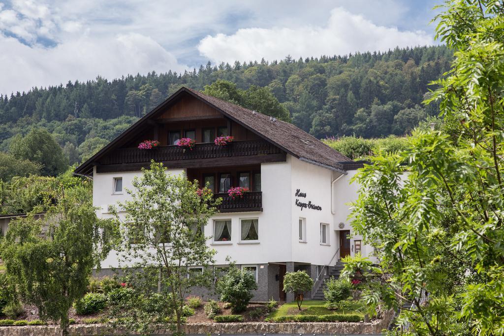 Haus Kesper-Brunen Hotel Willingen  Kültér fotó