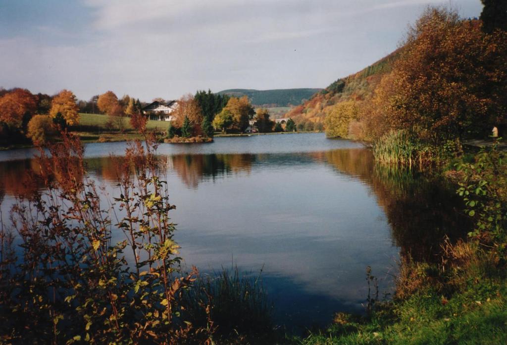 Haus Kesper-Brunen Hotel Willingen  Kültér fotó