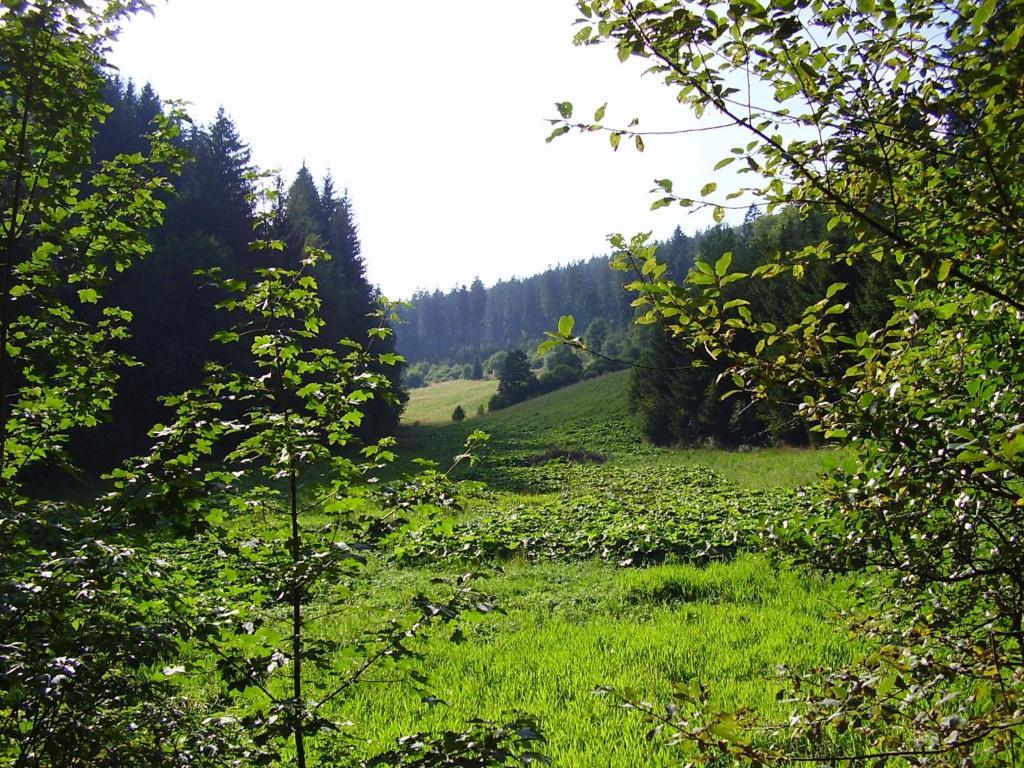 Haus Kesper-Brunen Hotel Willingen  Kültér fotó